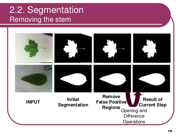 Segmentation